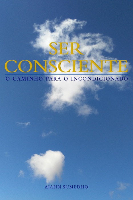 Ser Consciente