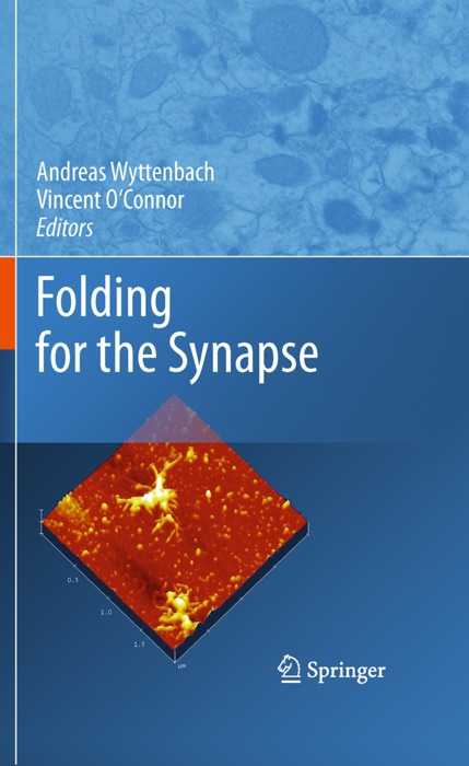 Folding for the Synapse