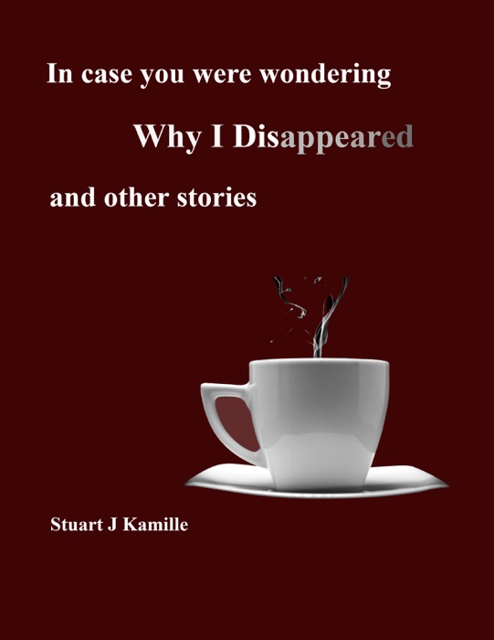 In Case You Were Wondering Why I Disappeared and other stories