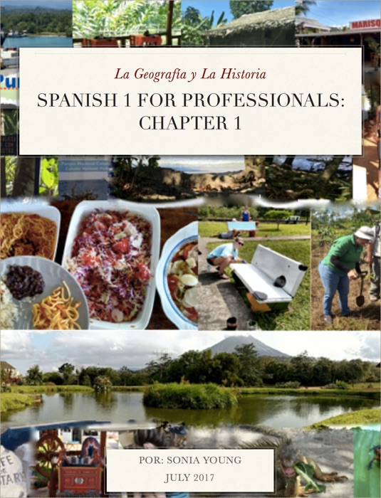 Spanish 1 for Professionals: