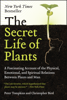 Peter Tompkins & Christopher Bird - The Secret Life of Plants artwork