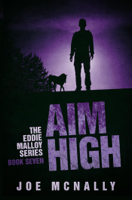 Joe McNally - Aim High artwork