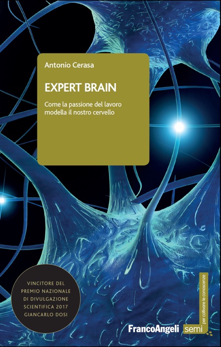 Expert brain