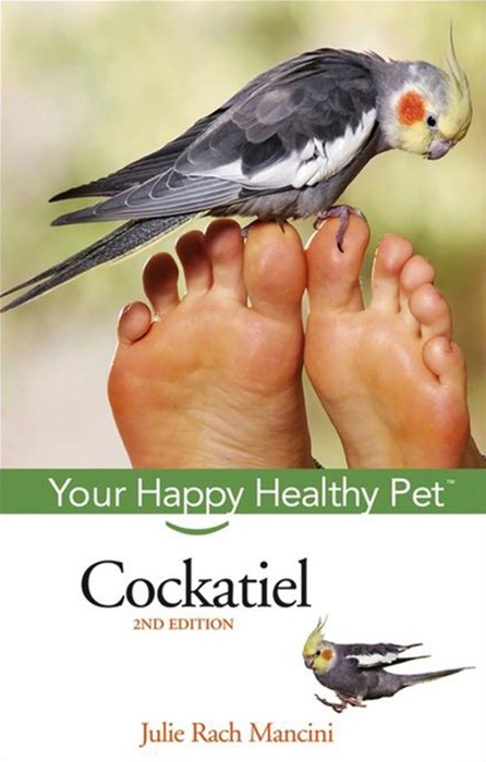 Cockatiel