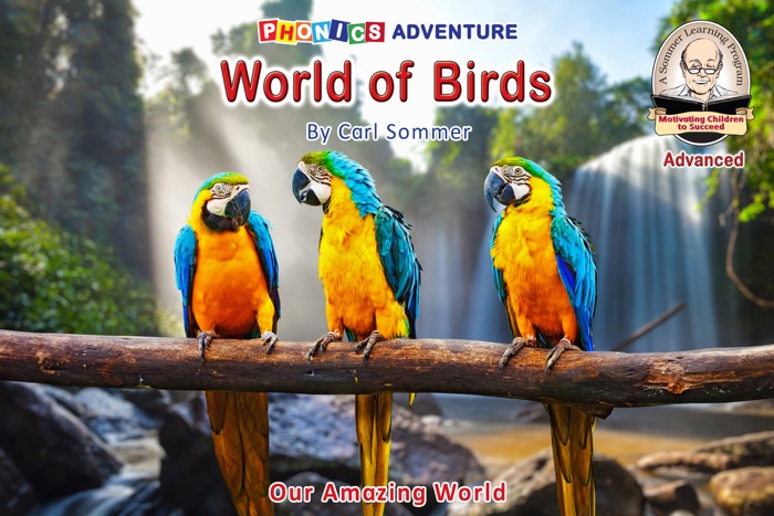 World of Birds