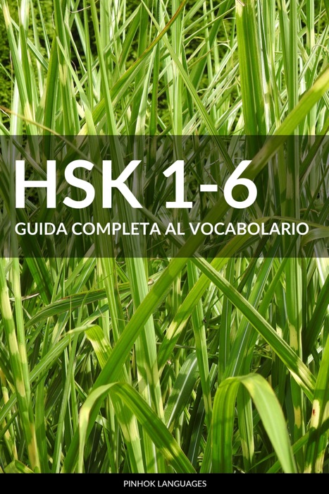 HSK 1-6 Guida Completa al Vocabolario