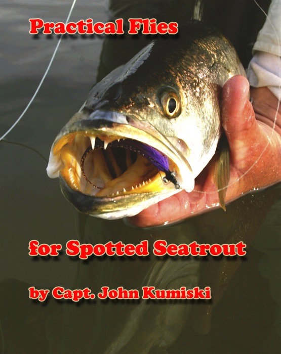 Practical Flies for Spotted Seatrout