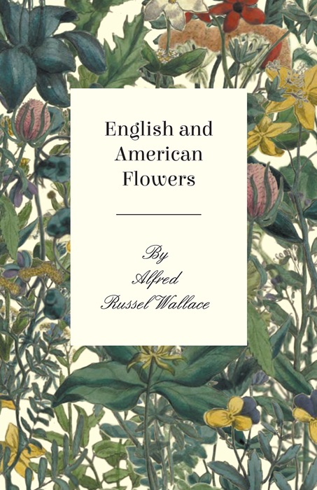 English and American Flowers