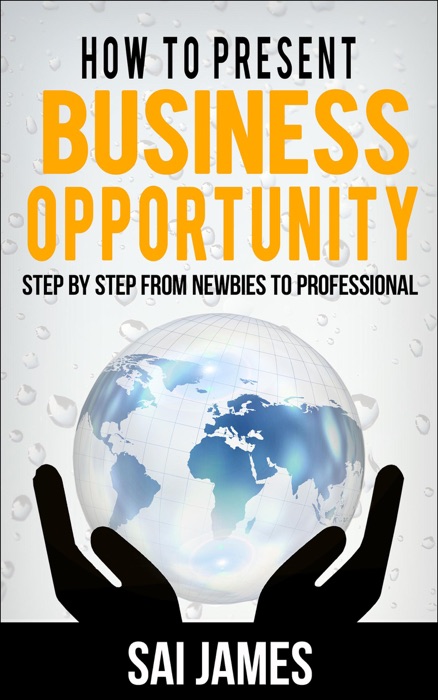 How to Present Business Opportunity