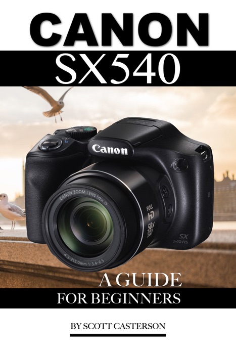 Canon Sx540: A Guide for Beginners