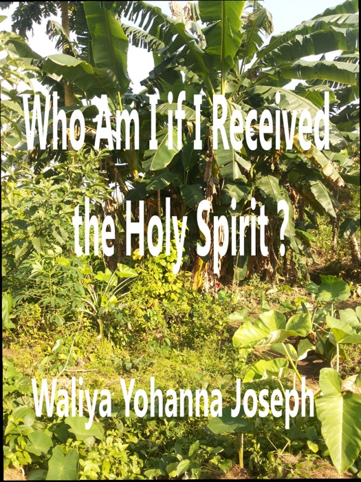 Who Am I If I Have Received The Holy Spirit?