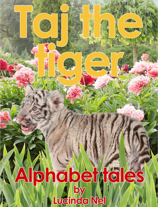 Taj the tiger