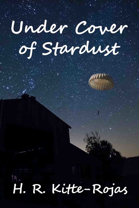 Under Cover of Stardust