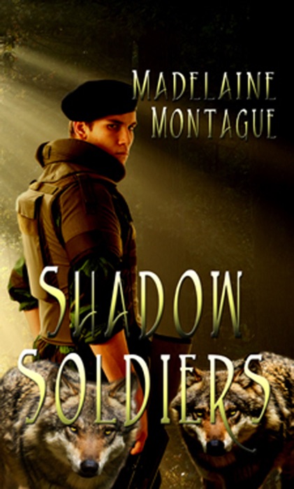 Shadow Soldiers