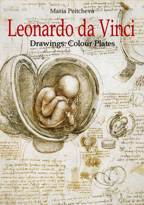 Leonardo da Vinci Drawings: Colour Plates