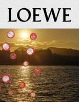 LOEWE Publication No.11