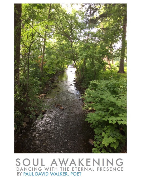 Soul Awakening