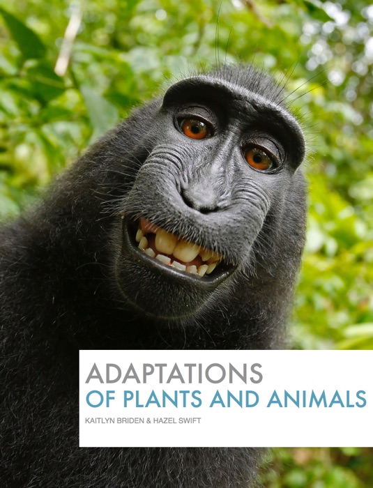 Adaptations of Plants and Animals