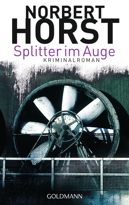 Splitter im Auge