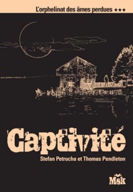 Book's Cover of Captivité
