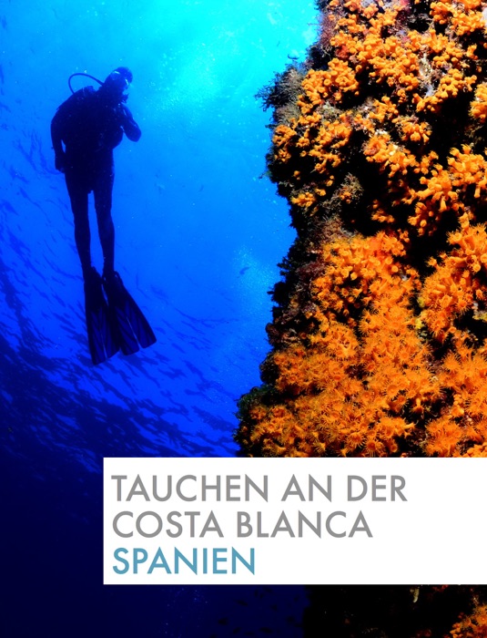 Tauchen an der Costa Blanca