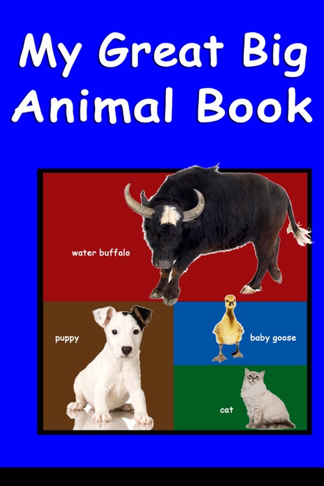 My Great Big Animal Book