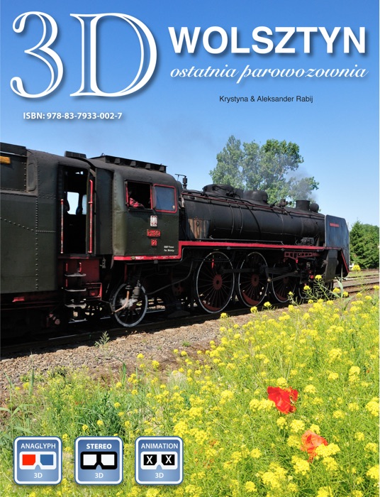 Wolsztyn 3D Ostatnia Parowozownia