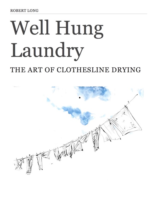 Well Hung Laundry