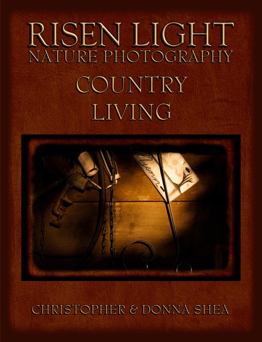Risen Light Nature Photography of Country Living