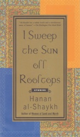 Book's Cover of I Sweep the Sun Off Rooftops