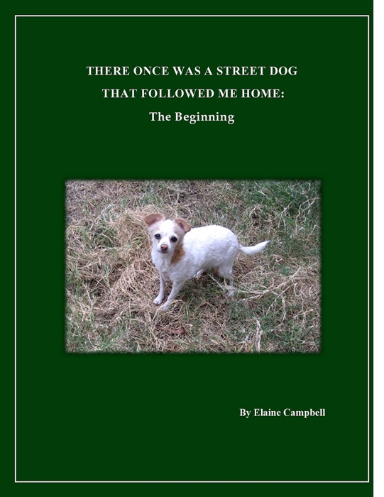 Once There Was A Street Dog That Followed Me Home: The Beginning