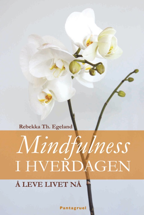 Mindfullness i hverdagen