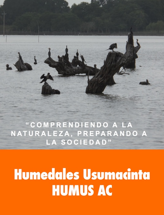 Humedales