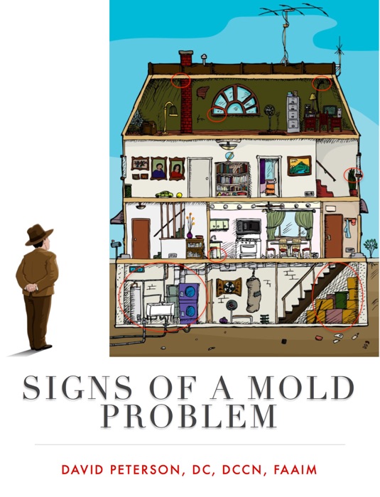 Signs of a Mold Problem