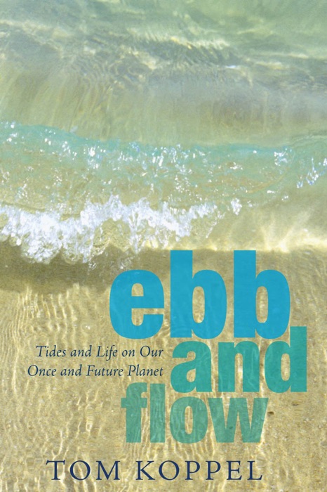 Ebb and Flow