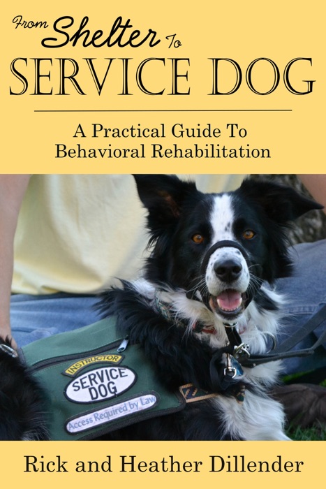 From Shelter To Service Dog: A Practical Guide To Behavioral Rehabilitation