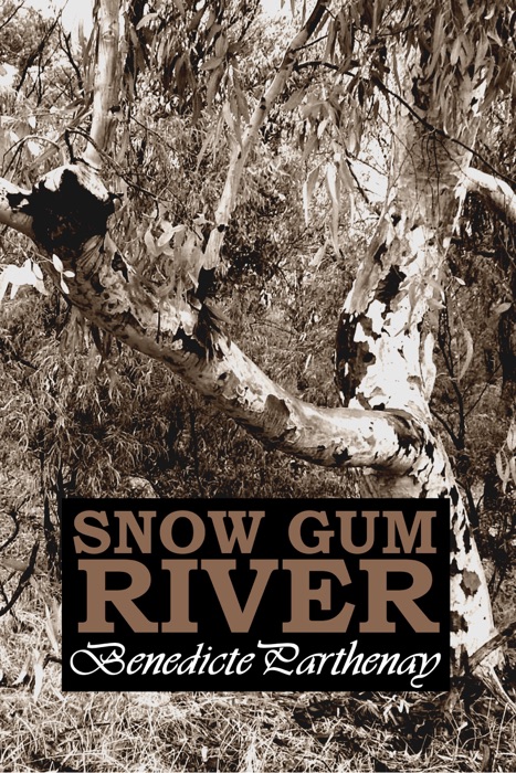 Snow Gum River