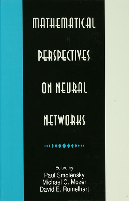 Mathematical Perspectives on Neural Networks