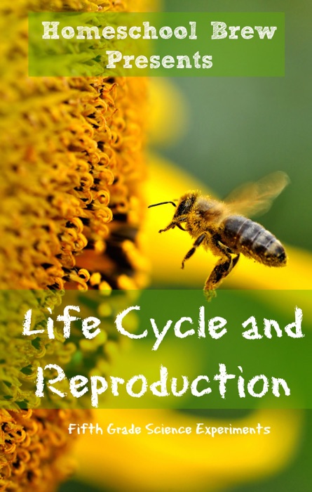 Life Cycle and Reproduction