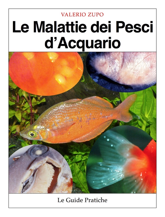 Le malattie dei pesci d’acquario