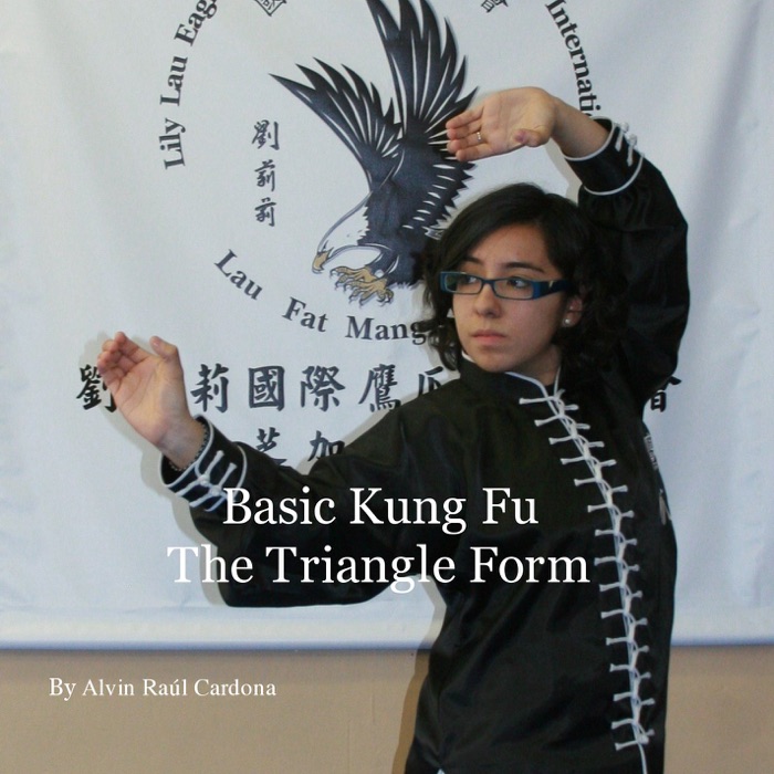 Basic Kung Fu The Triangle Form