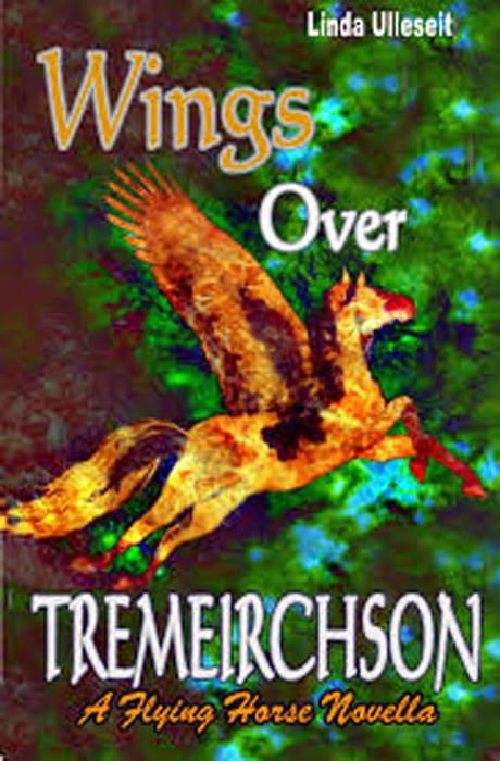 Wings Over Tremeirchson