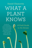 Daniel Chamovitz - What a Plant Knows artwork