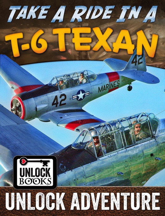 Take a Ride In a T-6 Texan