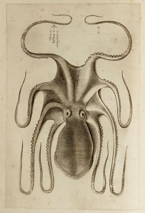 Aquatilium Animalium Historiae