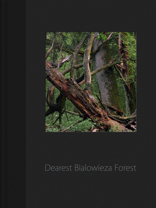 Dearest Bialowieza Forest