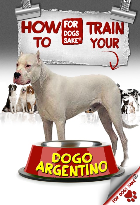 How to Train Your Dogo Argentino