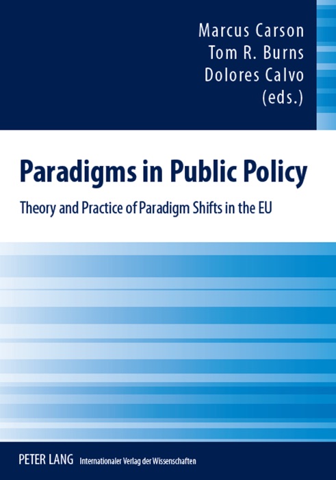 Paradigms in Public Policy