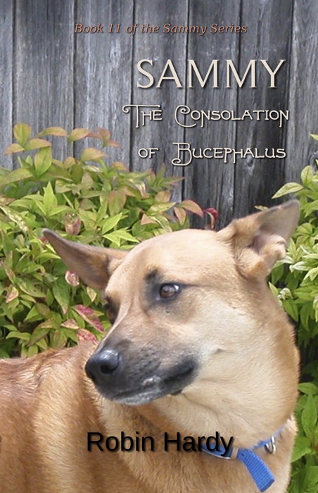 Sammy: The Consolation of Bucephalus