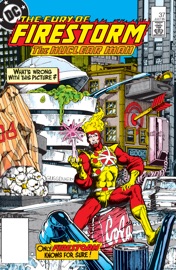 The Fury of Firestorm (1982-) #37 - Gerry Conway, Joey Cavalieri, Rafael Kayanan & Alex Niño by  Gerry Conway, Joey Cavalieri, Rafael Kayanan & Alex Niño PDF Download